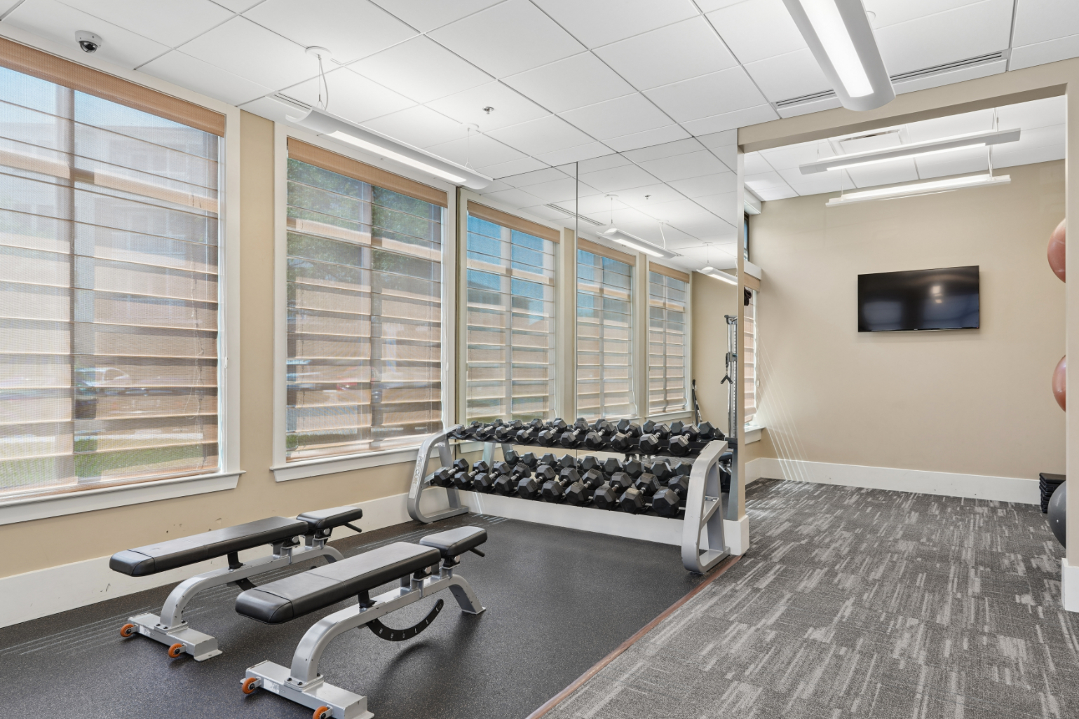 Fitness area with dumbbell rack, bench, strength equipment, wall-mounted TV, and large windows.