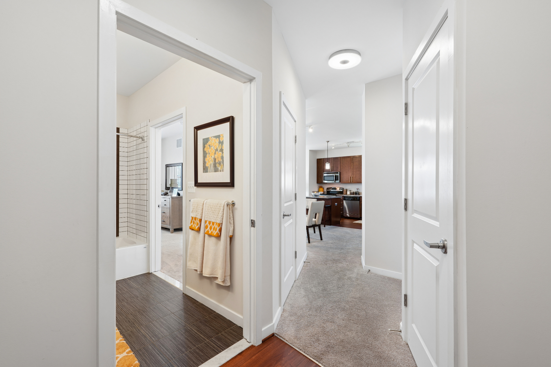 Apartment hallway with white doors, bathroom entrance, wood flooring, carpeted area, and kitchen visible in the distance.
